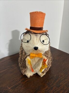 NWT- Fall Harvest- Faux Fur & Sisal Decorative Hedgehog 🦔